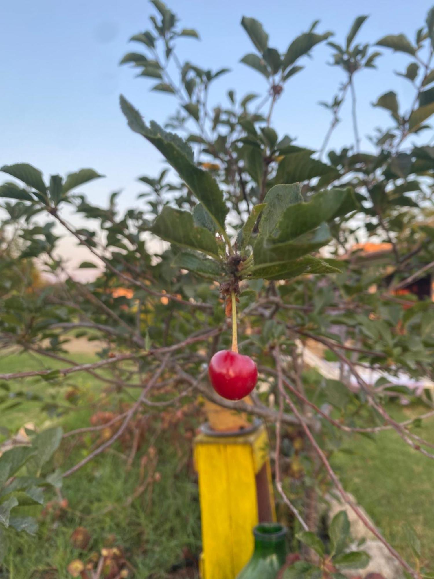 Agrib&B Lemontree Garde'N Siraküza Dış mekan fotoğraf